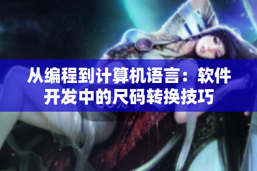從編程到計算機語言：軟件開發(fā)中的尺碼轉(zhuǎn)換技巧