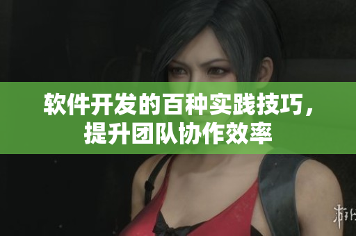 軟件開發(fā)的百種實踐技巧，提升團隊協(xié)作效率