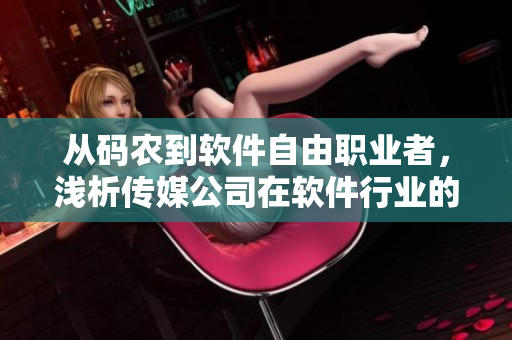 從碼農(nóng)到軟件自由職業(yè)者，淺析傳媒公司在軟件行業(yè)的前景