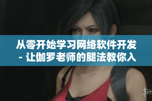 從零開始學(xué)習(xí)網(wǎng)絡(luò)軟件開發(fā) - 讓伽羅老師的腿法教你入門