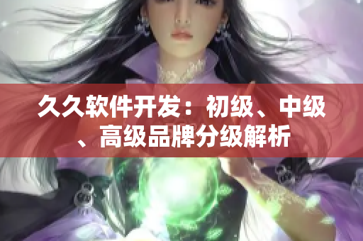 久久軟件開(kāi)發(fā)：初級(jí)、中級(jí)、高級(jí)品牌分級(jí)解析