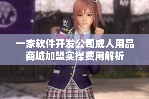 一家軟件開發(fā)公司成人用品商城加盟實操費用解析