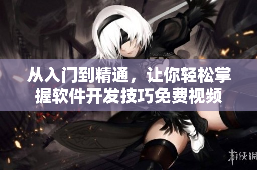 從入門(mén)到精通，讓你輕松掌握軟件開(kāi)發(fā)技巧免費(fèi)視頻