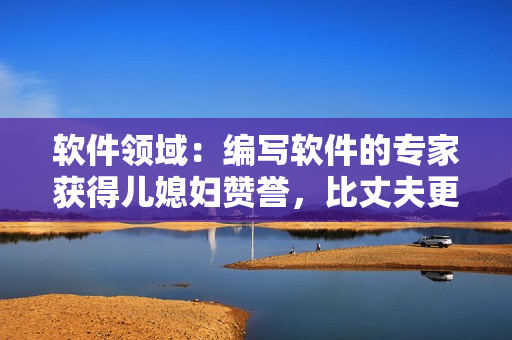 軟件領(lǐng)域：編寫(xiě)軟件的專(zhuān)家獲得兒媳婦贊譽(yù)，比丈夫更能掌握IT深層技能
