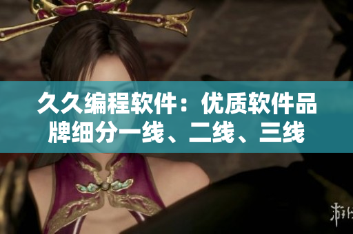 久久編程軟件：優(yōu)質(zhì)軟件品牌細(xì)分一線、二線、三線