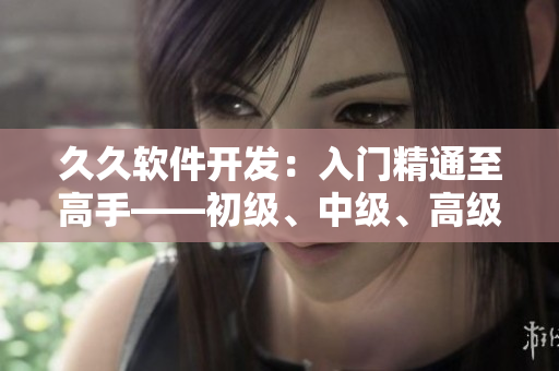 久久軟件開發(fā)：入門精通至高手——初級、中級、高級技能詳解