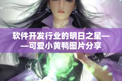 軟件開發(fā)行業(yè)的明日之星——可愛小黃鴨圖片分享