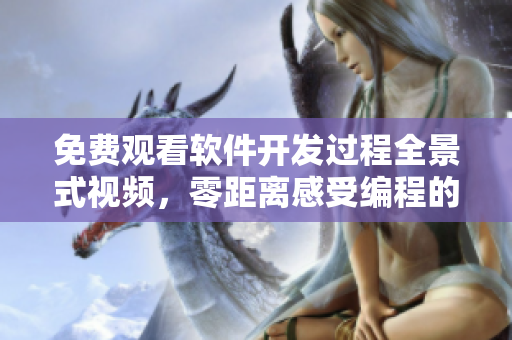 免費觀看軟件開發(fā)過程全景式視頻，零距離感受編程的浪漫與美妙