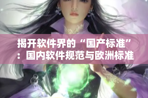 揭開軟件界的“國產標準”：國內軟件規(guī)范與歐洲標準差異大