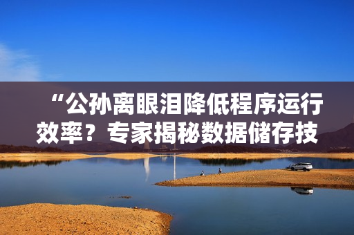 “公孫離眼淚降低程序運行效率？專家揭秘數(shù)據(jù)儲存技巧”