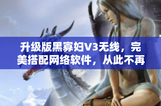 升級版黑寡婦V3無線，完美搭配網(wǎng)絡(luò)軟件，從此不再擔(dān)心連接問題