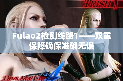Fulao2檢測(cè)線路1——雙重保障確保準(zhǔn)確無(wú)誤