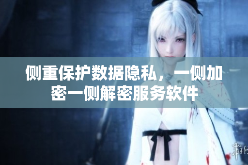 側(cè)重保護(hù)數(shù)據(jù)隱私，一側(cè)加密一側(cè)解密服務(wù)軟件