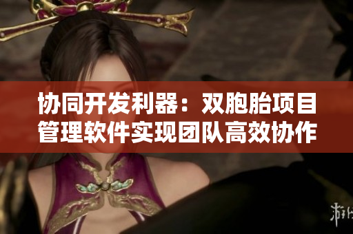 協(xié)同開發(fā)利器：雙胞胎項目管理軟件實現(xiàn)團隊高效協(xié)作