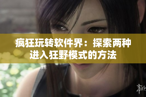 瘋狂玩轉(zhuǎn)軟件界：探索兩種進(jìn)入狂野模式的方法