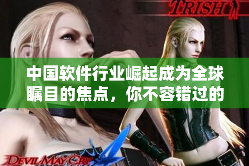 中國軟件行業(yè)崛起成為全球矚目的焦點，你不容錯過的10大程序編寫技巧！