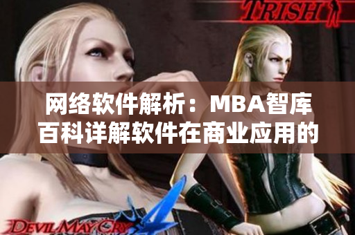 網(wǎng)絡(luò)軟件解析：MBA智庫百科詳解軟件在商業(yè)應(yīng)用的重要性