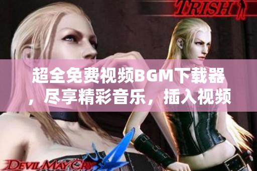 超全免費(fèi)視頻BGM下載器，盡享精彩音樂，插入視頻更能添彩！