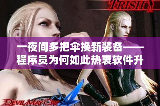一夜間多把傘換新裝備——程序員為何如此熱衷軟件升級與迭代？