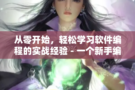 從零開(kāi)始，輕松學(xué)習(xí)軟件編程的實(shí)戰(zhàn)經(jīng)驗(yàn) - 一個(gè)新手編程的實(shí)用指南