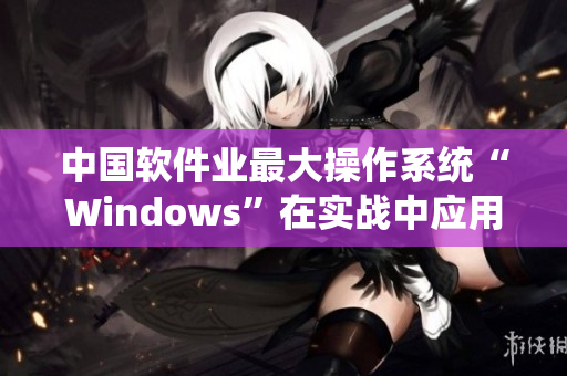 中國軟件業(yè)最大操作系統(tǒng)“Windows”在實戰(zhàn)中應(yīng)用全記載