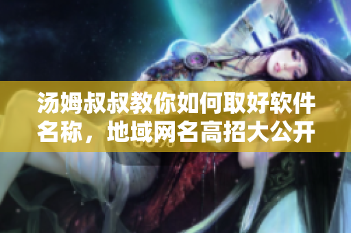 湯姆叔叔教你如何取好軟件名稱，地域網(wǎng)名高招大公開