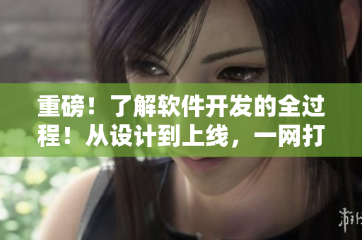 重磅！了解軟件開發(fā)的全過程！從設(shè)計(jì)到上線，一網(wǎng)打盡！