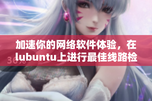 加速你的網(wǎng)絡(luò)軟件體驗(yàn)，在lubuntu上進(jìn)行最佳線路檢測3