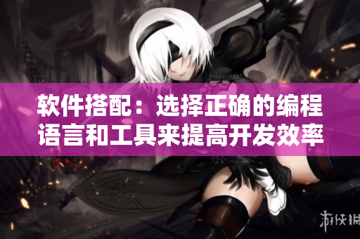 軟件搭配：選擇正確的編程語(yǔ)言和工具來提高開發(fā)效率