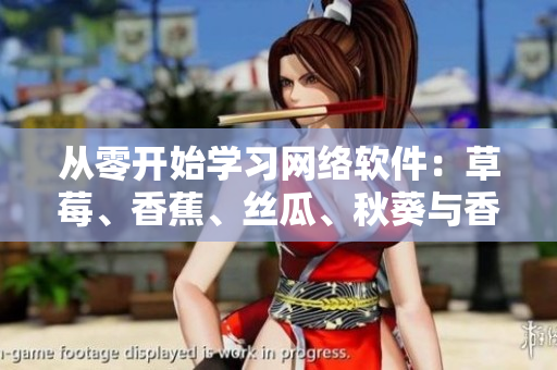 從零開始學(xué)習(xí)網(wǎng)絡(luò)軟件：草莓、香蕉、絲瓜、秋葵與香草的軟件開發(fā)全流程