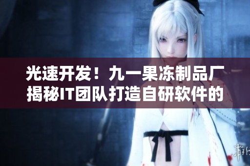 光速開發(fā)！九一果凍制品廠揭秘IT團隊打造自研軟件的故事