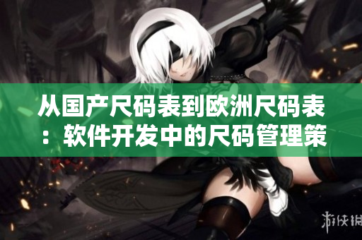 從國(guó)產(chǎn)尺碼表到歐洲尺碼表：軟件開(kāi)發(fā)中的尺碼管理策略