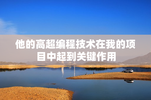 他的高超編程技術在我的項目中起到關鍵作用