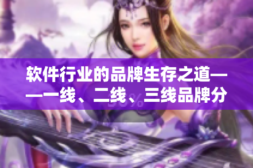 軟件行業(yè)的品牌生存之道——一線、二線、三線品牌分析