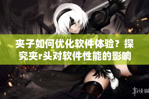 夾子如何優(yōu)化軟件體驗(yàn)？探究夾r頭對軟件性能的影響