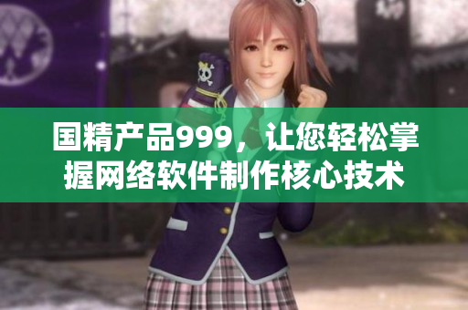 國(guó)精產(chǎn)品999，讓您輕松掌握網(wǎng)絡(luò)軟件制作核心技術(shù)