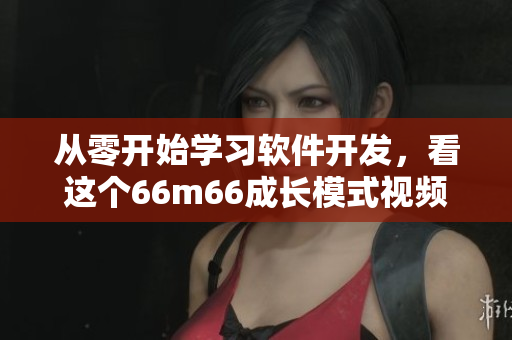 從零開始學(xué)習(xí)軟件開發(fā)，看這個66m66成長模式視頻-大陸4