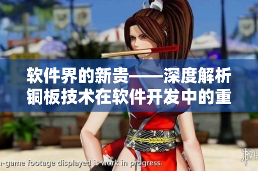 軟件界的新貴——深度解析銅板技術(shù)在軟件開(kāi)發(fā)中的重要作用