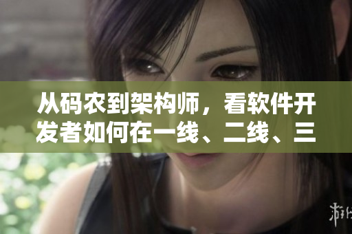 從碼農(nóng)到架構(gòu)師，看軟件開發(fā)者如何在一線、二線、三線公司生存與發(fā)展