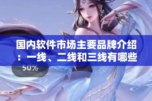 國內(nèi)軟件市場主要品牌介紹：一線、二線和三線有哪些？