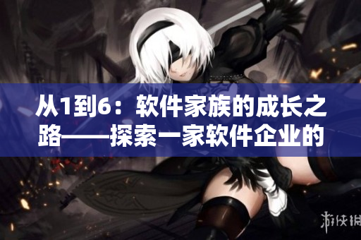 從1到6：軟件家族的成長之路——探索一家軟件企業(yè)的發(fā)展歷程