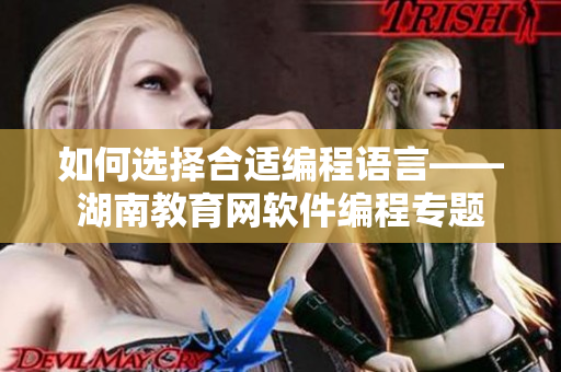 如何選擇合適編程語言——湖南教育網(wǎng)軟件編程專題