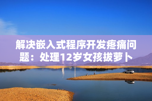 解決嵌入式程序開發(fā)疼痛問題：處理12歲女孩拔蘿卜引發(fā)的痛苦