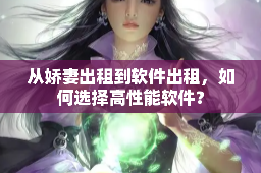 從嬌妻出租到軟件出租，如何選擇高性能軟件？