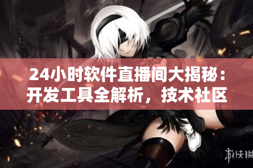 24小時(shí)軟件直播間大揭秘：開(kāi)發(fā)工具全解析，技術(shù)社區(qū)實(shí)時(shí)互動(dòng)
