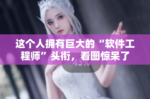 這個(gè)人擁有巨大的“軟件工程師”頭銜，看圖驚呆了