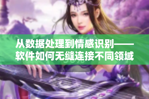 從數(shù)據(jù)處理到情感識別——軟件如何無縫連接不同領(lǐng)域【網(wǎng)絡(luò)軟件文章】