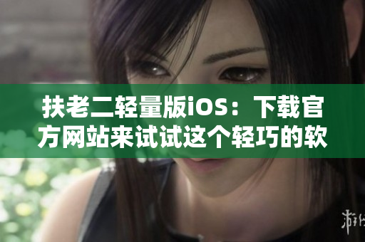 扶老二輕量版iOS：下載官方網(wǎng)站來試試這個(gè)輕巧的軟件
