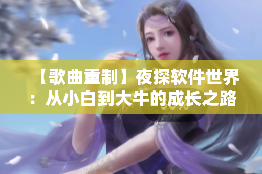 【歌曲重制】夜探軟件世界：從小白到大牛的成長(zhǎng)之路