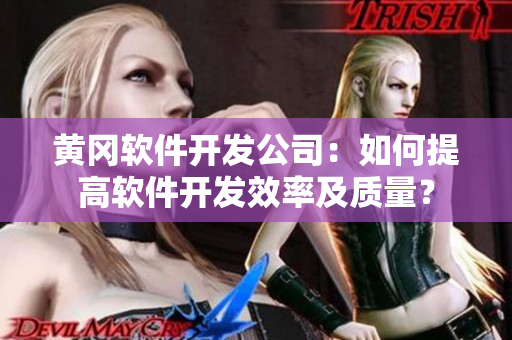黃岡軟件開發(fā)公司：如何提高軟件開發(fā)效率及質(zhì)量？